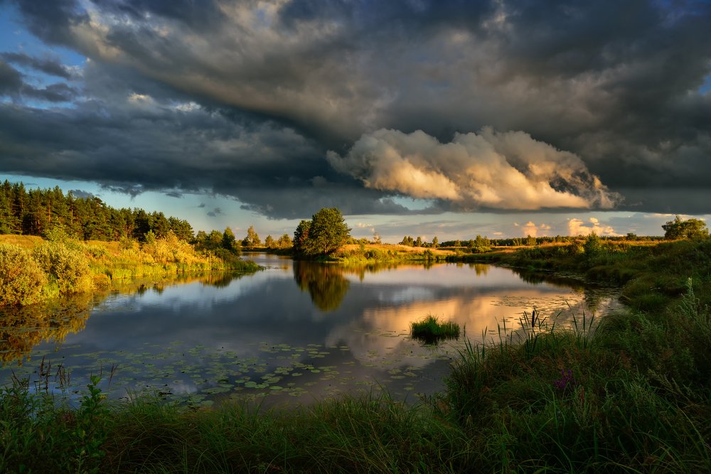 летние контрасты