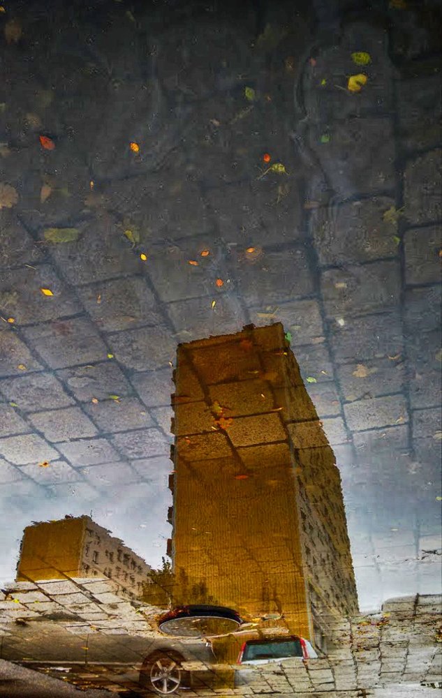 Photograph by Anna Suchcicka