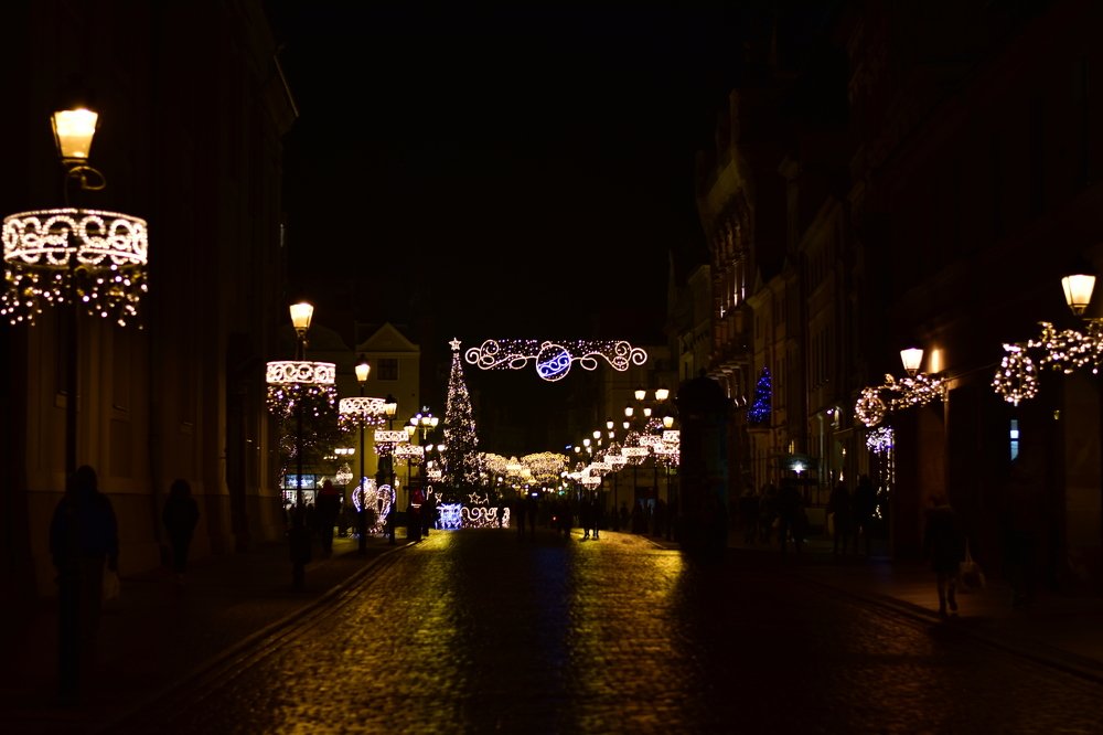 Photograph by Janusz Osika