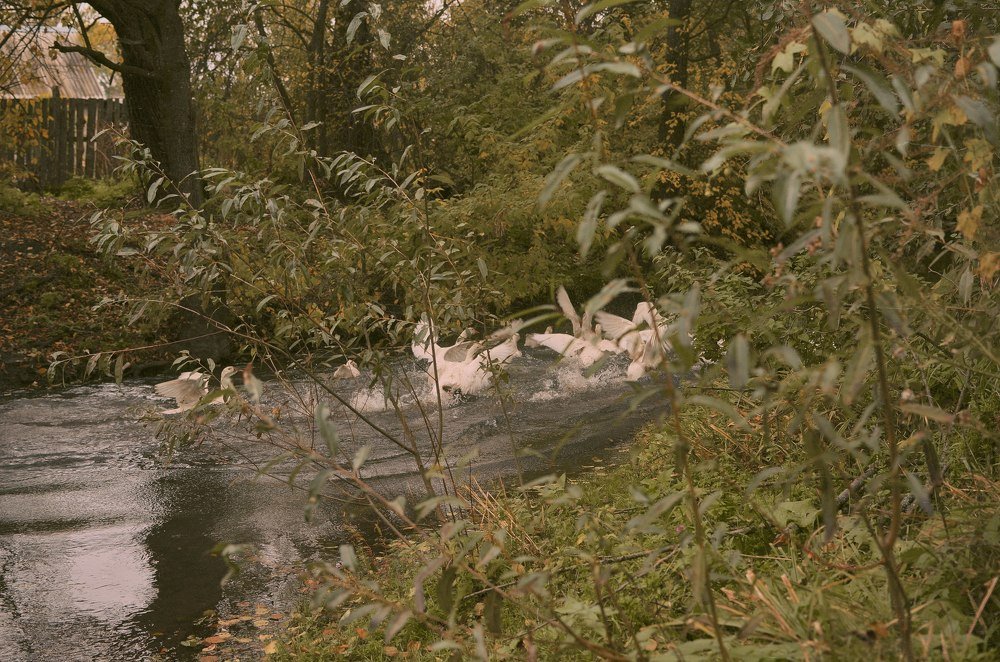 Photograph by Кристина Геристовская