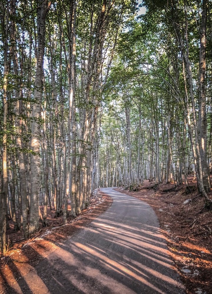 Shadows of the holy mountain Lovcen
