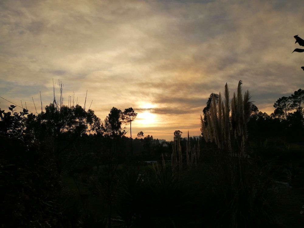 Photograph by Ricardo Sérgio De Almeida