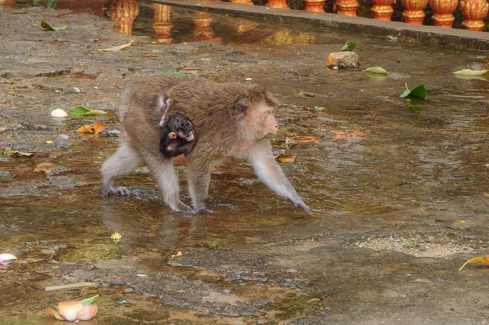 Photograph by Анна Миронова