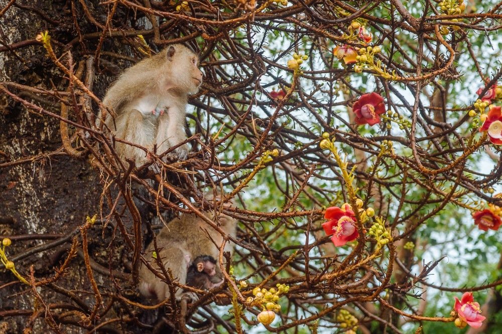 Photograph by Анна Миронова
