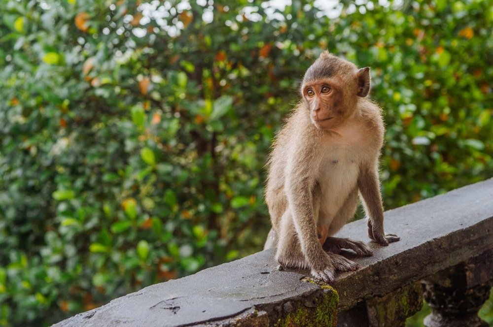 Photograph by Анна Миронова