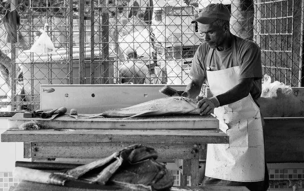 Photograph by Candy Guerra