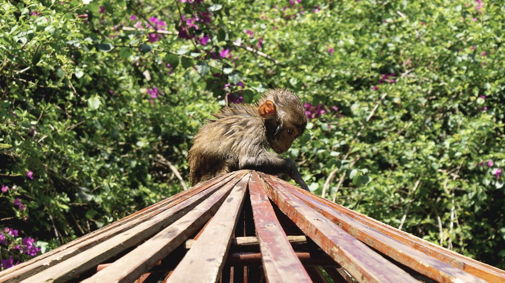 Photograph by Aleksandr Slyusarev