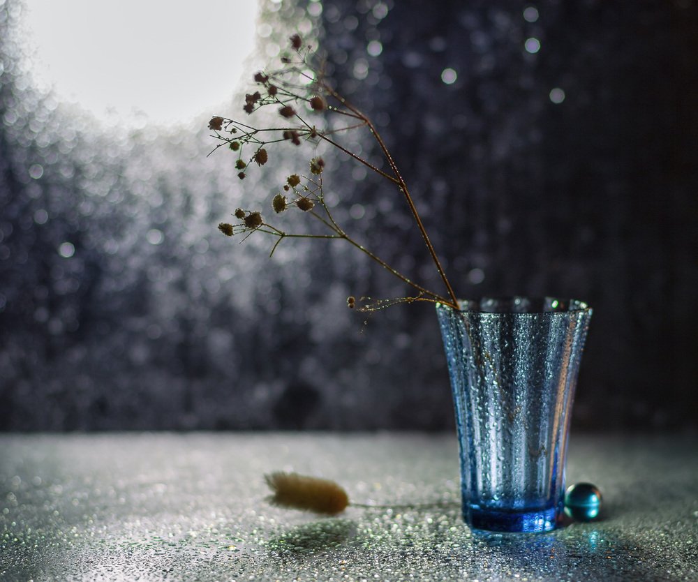 Фотография автора Refat Mamutov