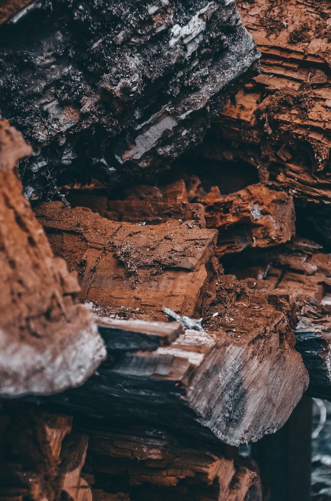 Photograph by Тамара Козлова