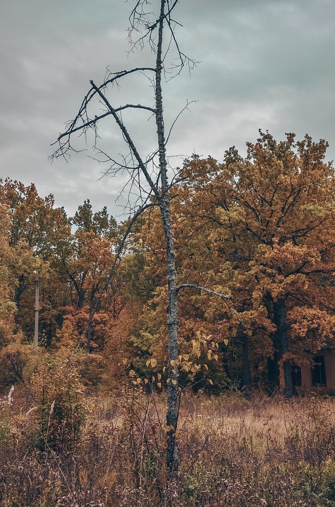 Photograph by Тамара Козлова