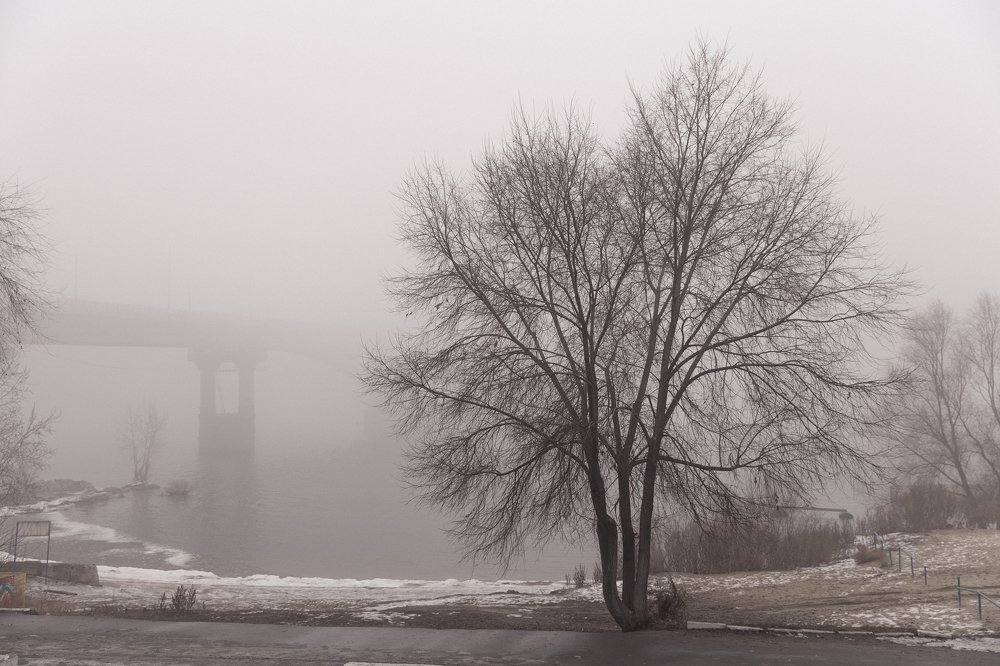 Photograph by  Anastasia