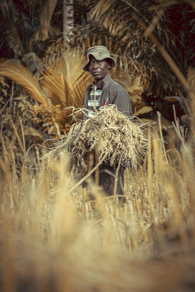 Фотография автора Daniel Attah Sekyi