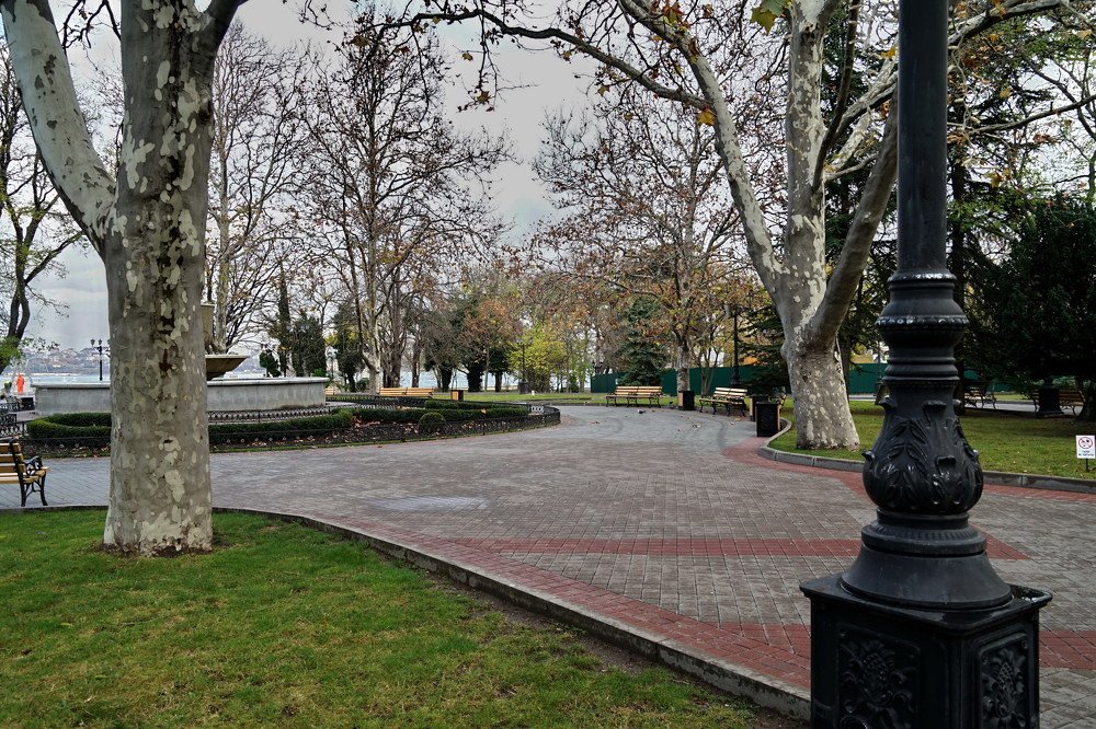 Осень. Холода. Опустели аллеи приморского бульвара.