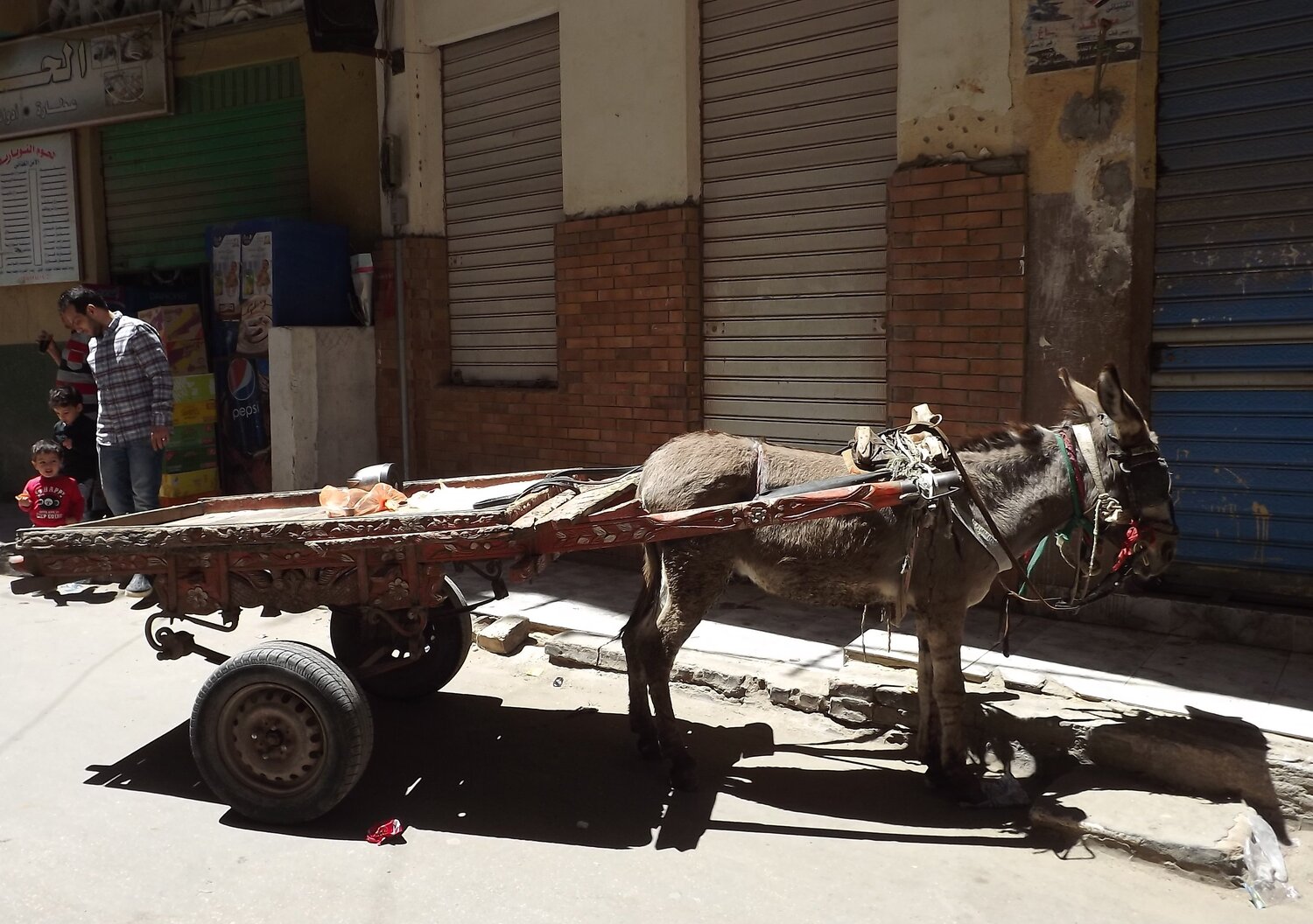 Photo #4044611