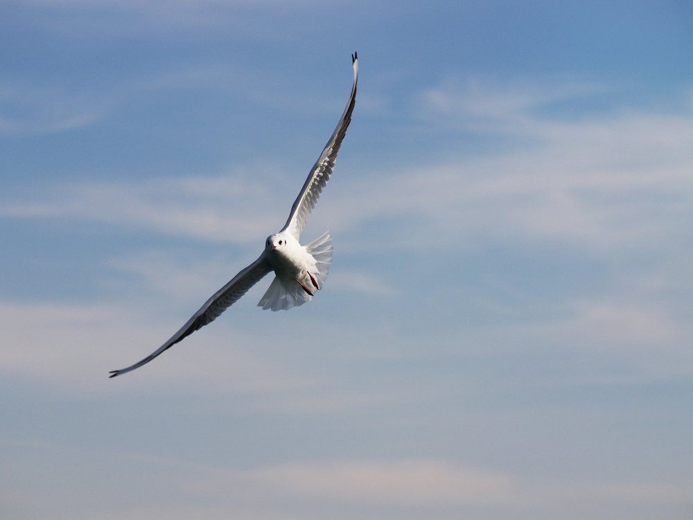 Photograph by Abdolreza Aleagha