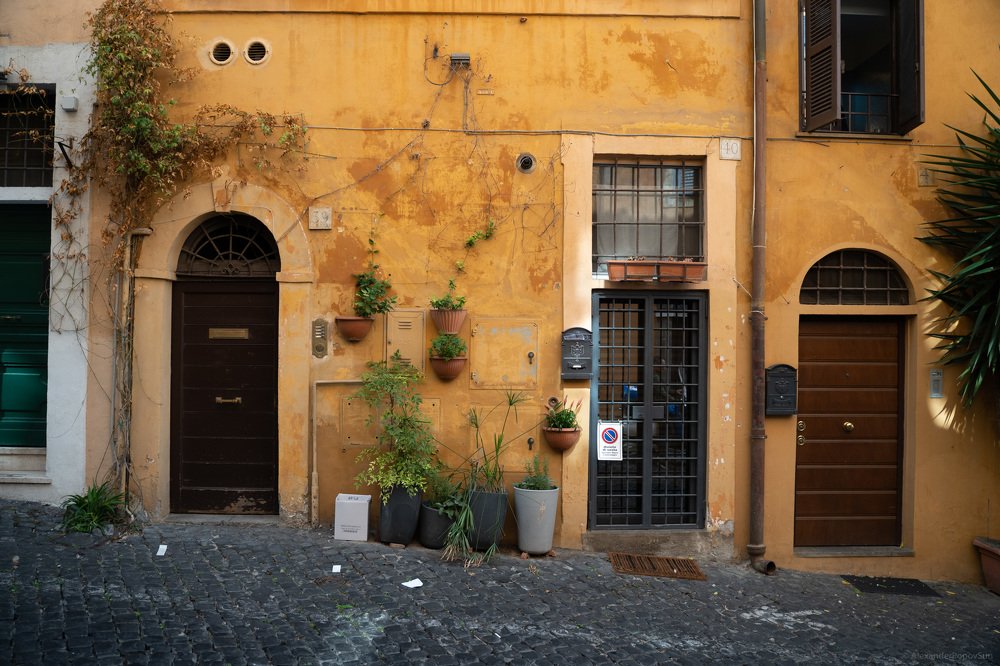 Photograph by Alexander Popov