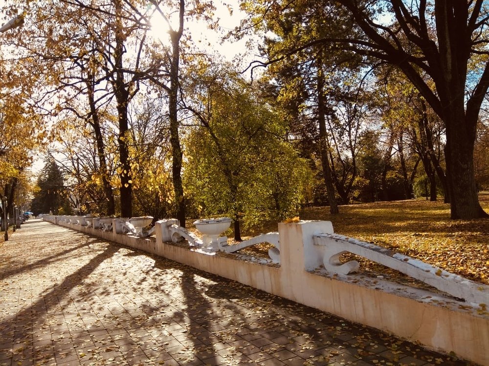 Photograph by Елена Семенова