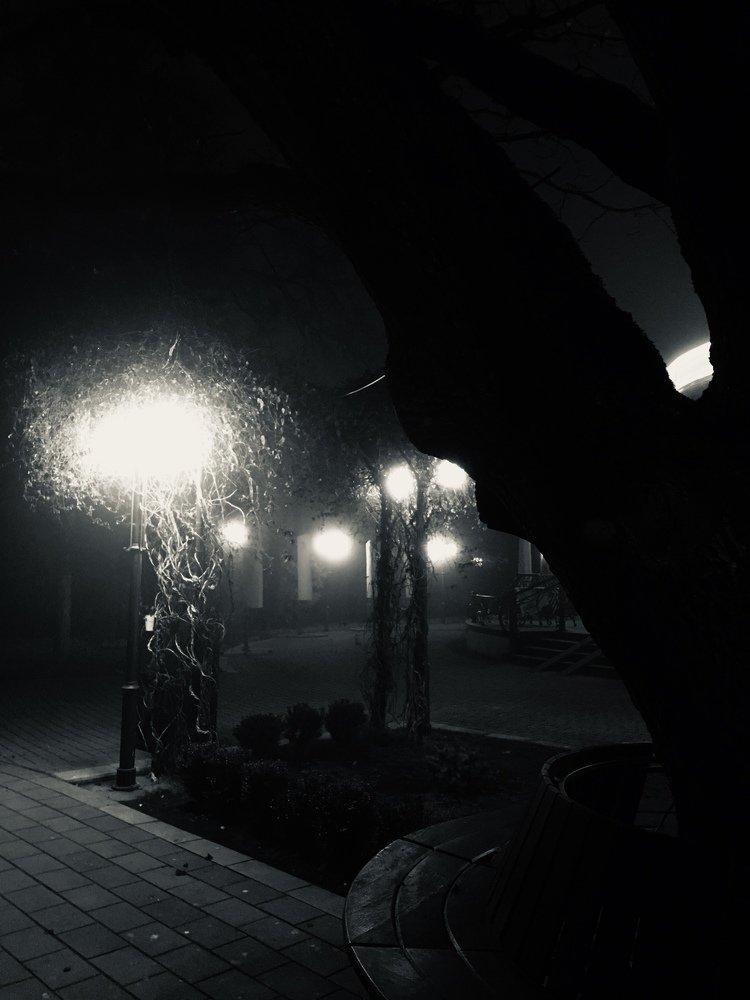 Photograph by Елена Семенова