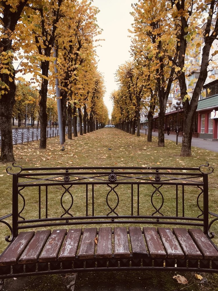 Photograph by Елена Семенова