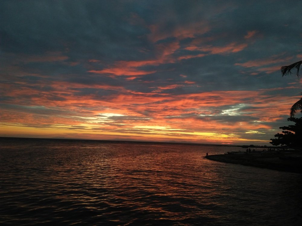 Photo #4044740