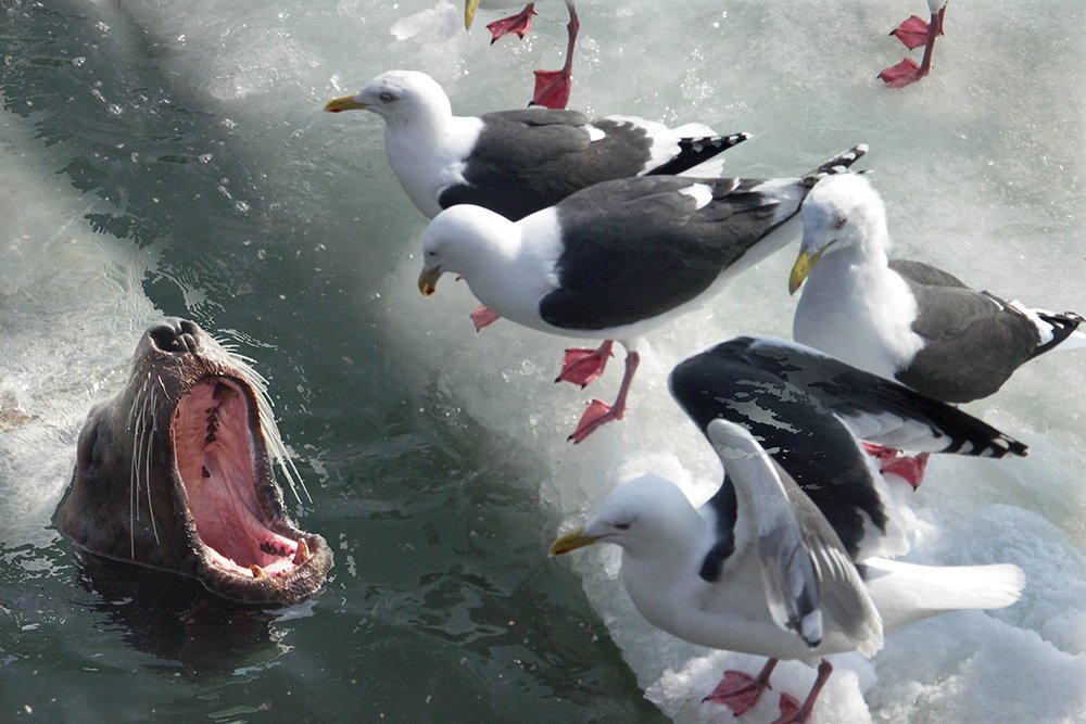 Мы тебя не боимся