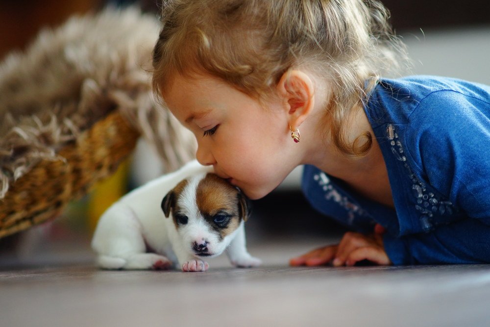 Photograph by Zuzana Celadnikova