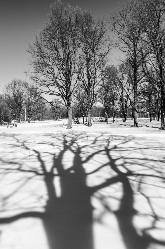 Photograph by Светлана Глебова