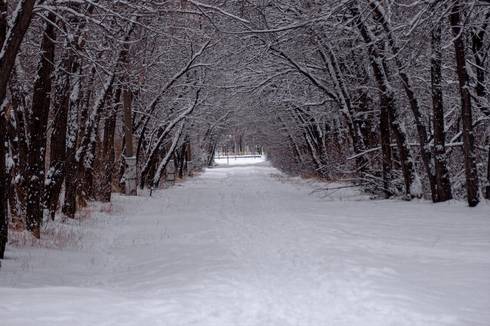 Photograph by Alla Kuskova