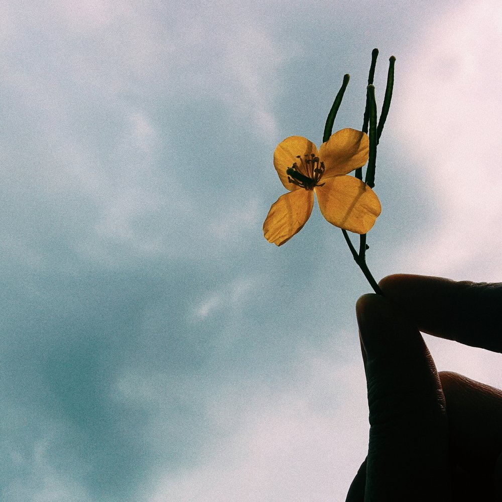 Photograph by baabushkina