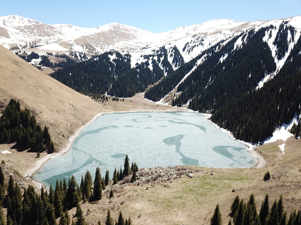 Фотография автора Алексей Огнев