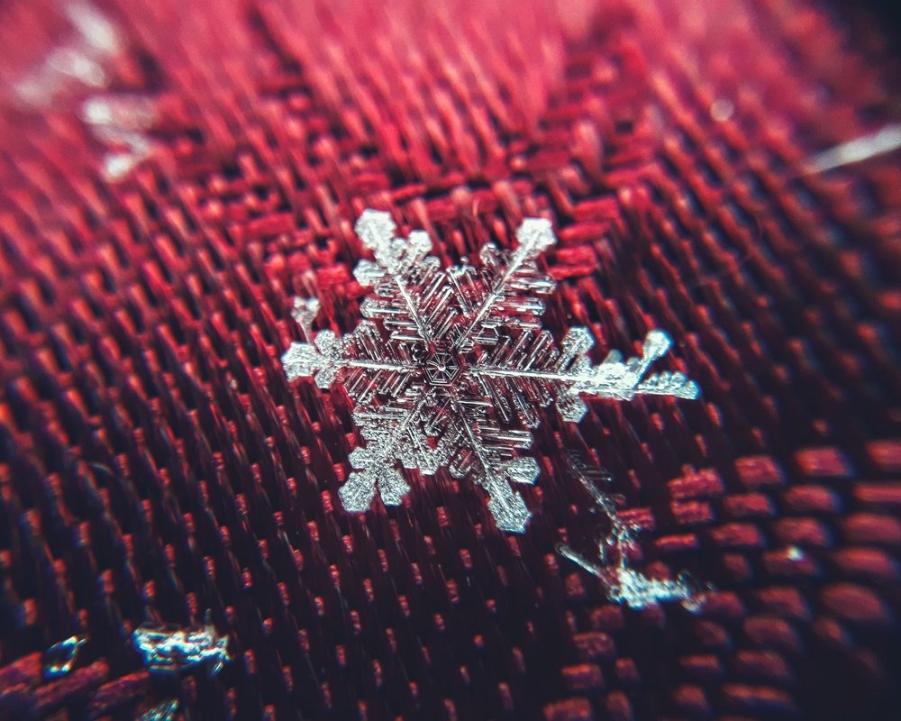 Photograph by Ольга Распопова