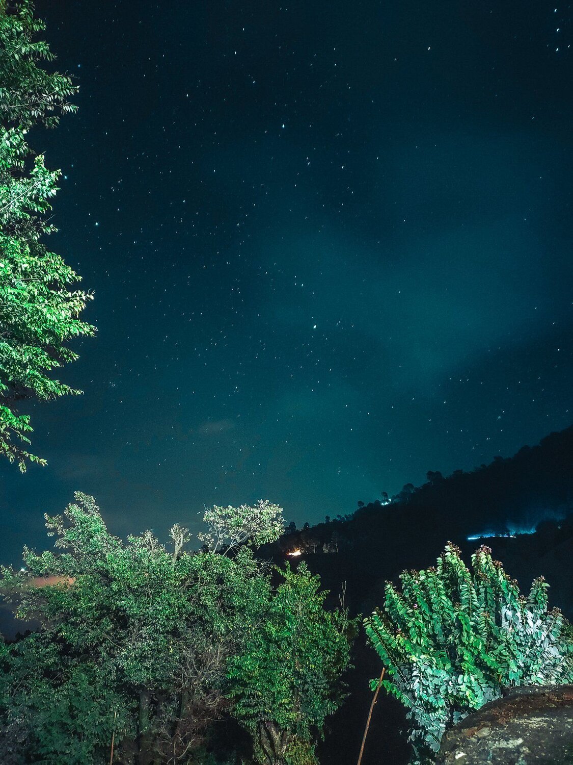 Photo #4045022