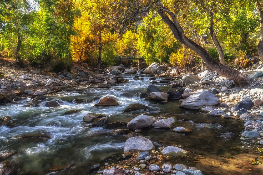 Фотография автора Марина Юдинских