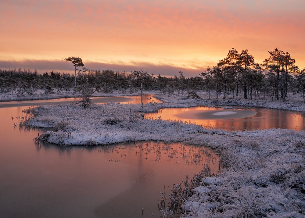 Photograph by Олег Иваницкий