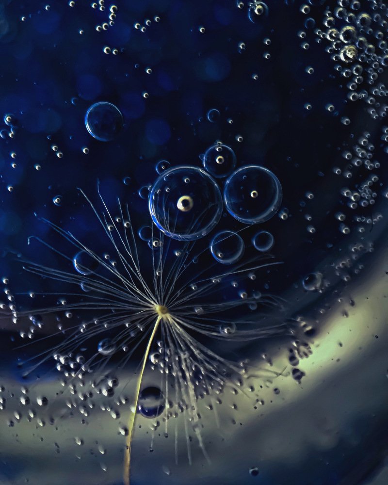 Photograph by Кристина Ковальчук