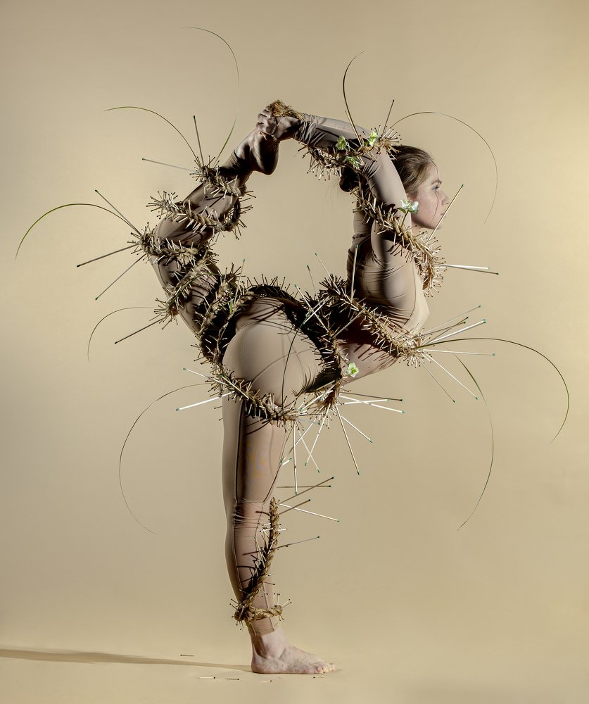 Фотография автора Константин Краснобаев