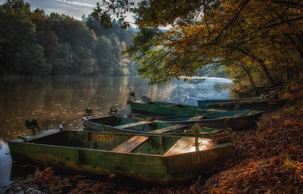 Photograph by Guy Krier