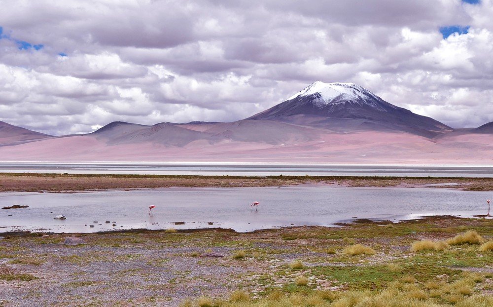 Photograph by Ольга Садохова