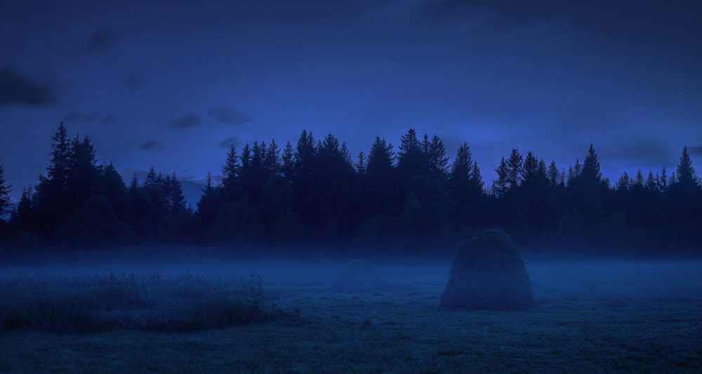 Photograph by ბარნაველი ალექსანდრე