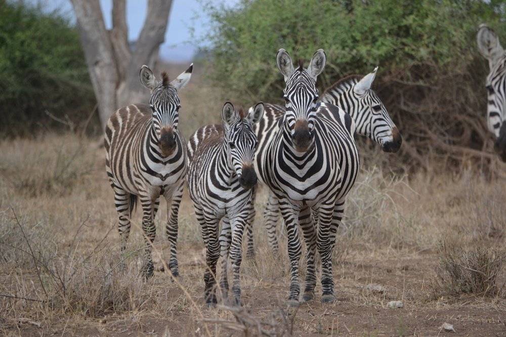 Ты с какого района, а?