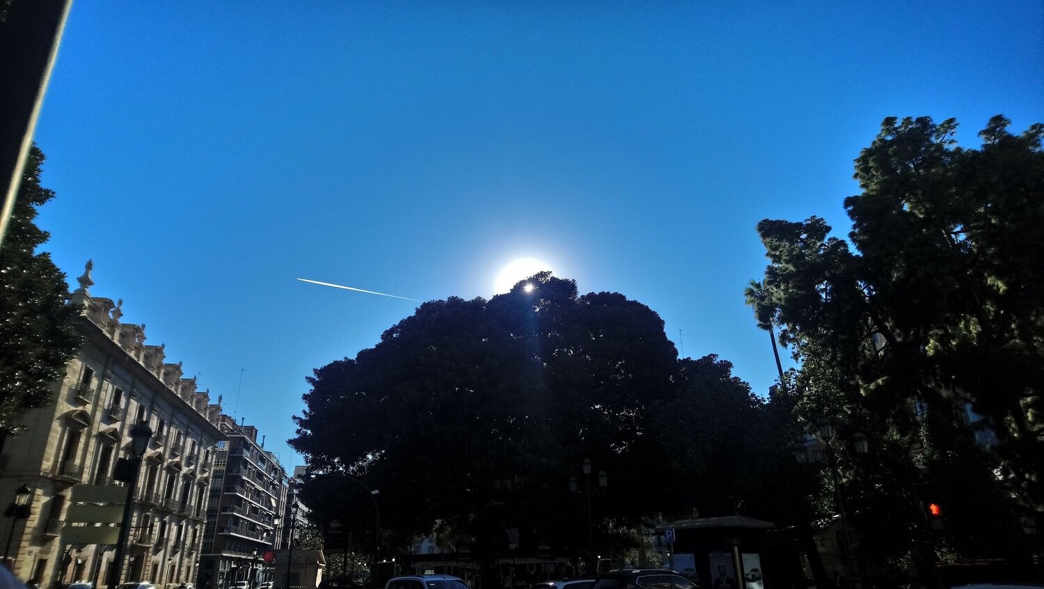 Sun tree and a plane