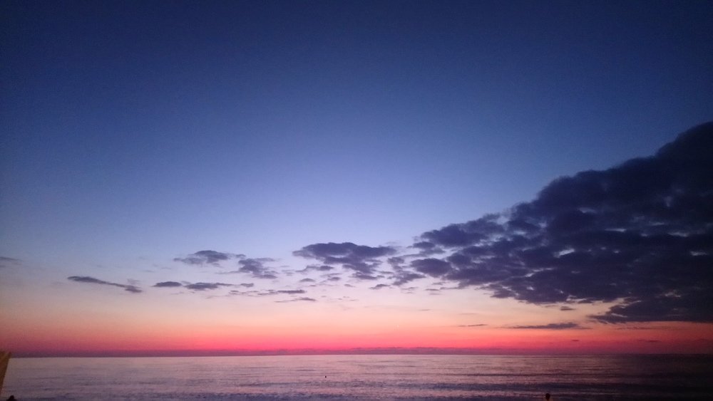 Photo #4045450