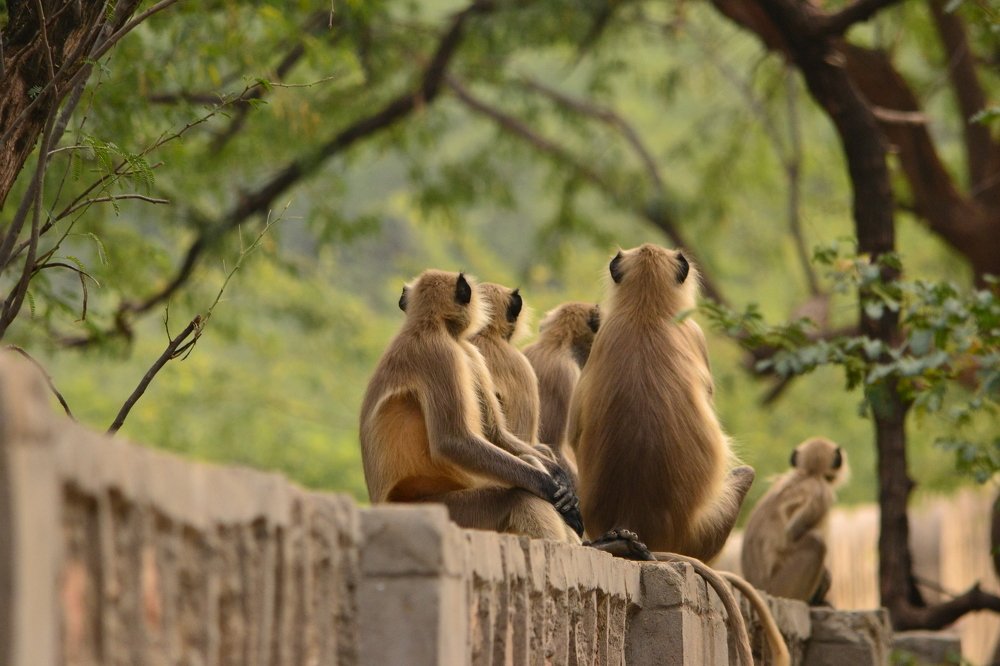 Photograph by Ольга Садохова