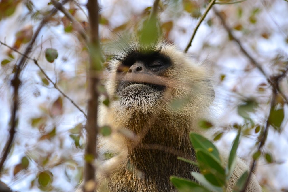 Photograph by Ольга Садохова