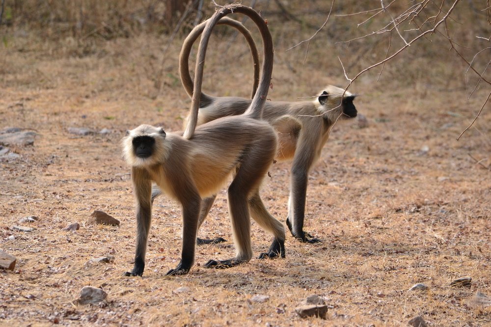 Photograph by Ольга Садохова