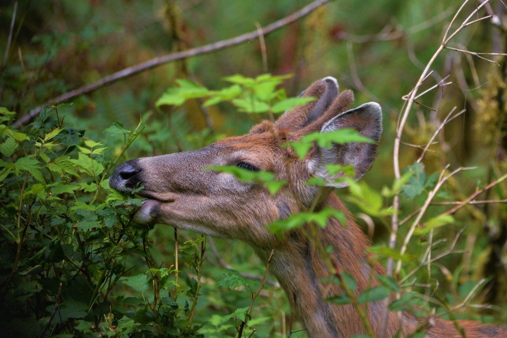 Photograph by Ольга Садохова