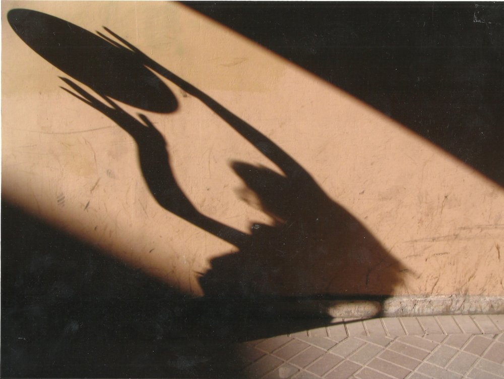 Photograph by Ирина