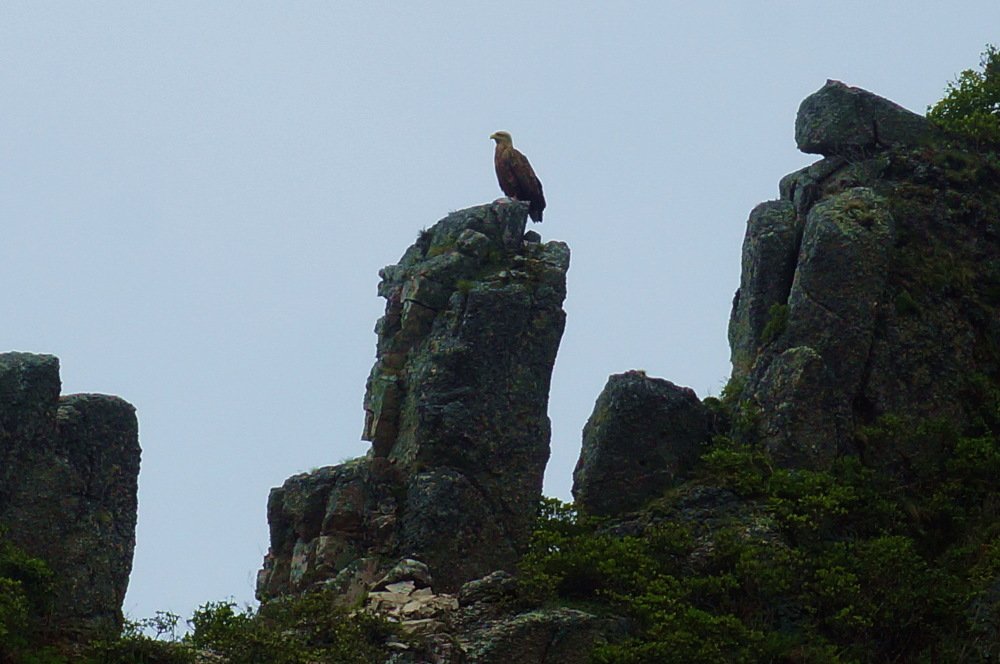 Photograph by Юлия Лихачева