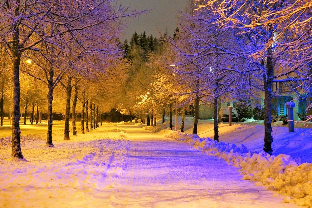 Photograph by Елена Шмарловская