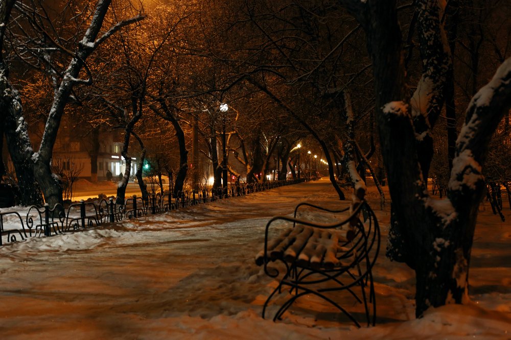 Фотография автора Шутенкова Евгения